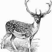 Profile Picture of Jo Rose (@jorose9645) on Youtube