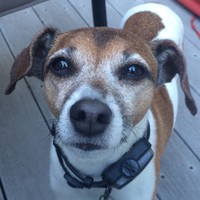 Profile Picture of Jillian Howe (@jillian-howe-6) on Quora