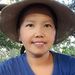 Profile Picture of Chong Thao (@chongthao75) on Pinterest