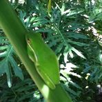 Profile Picture of Matt Teegarden (@matt.teegarden.3) on Facebook