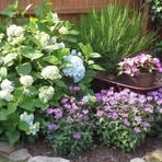 Profile Picture of Sharon Erbter Jackel (@sharon.jackel) on Facebook