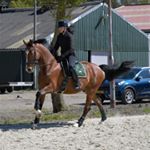Profile Picture of ✰  Aᥒᥒᥱ Kɾᥲຕᥱɾ  ✰ (@annekramer_dressage) on Instagram