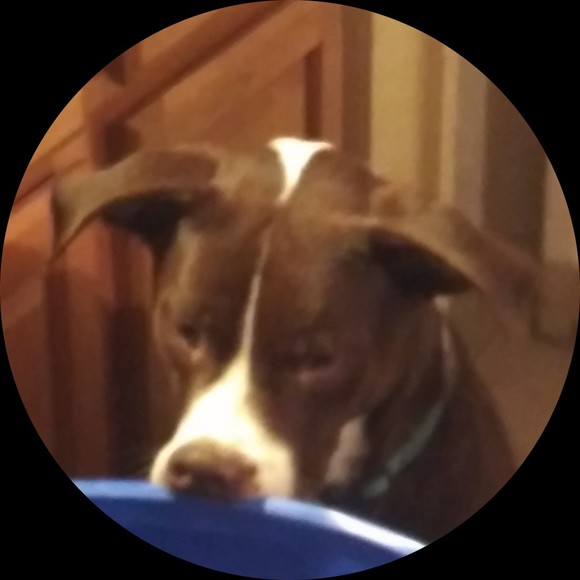 Profile Picture of Jacob Gibson (@gibsonjacob872) on Poshmark