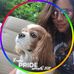 Profile Picture of Joann Watson (@joann.watson.94) on Facebook