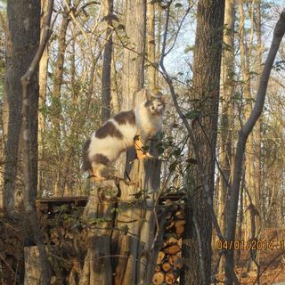 Profile Picture of Jerry Dula (@jerry.dula.505) on Facebook