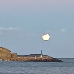 Profile Picture of michaelrunser (@michaelrunser) on Tiktok