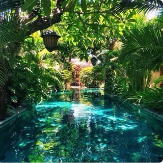 Profile Picture of Poolhunter (@poolhunter_) on Instagram