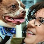 Yolanda Fields - Instagram Profile Picture of Yolanda Fields (@yolandafields6307) on Instagram