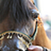 Profile Picture of Abdullah  Al mikanze (@Abdullah Basil) on Flickr