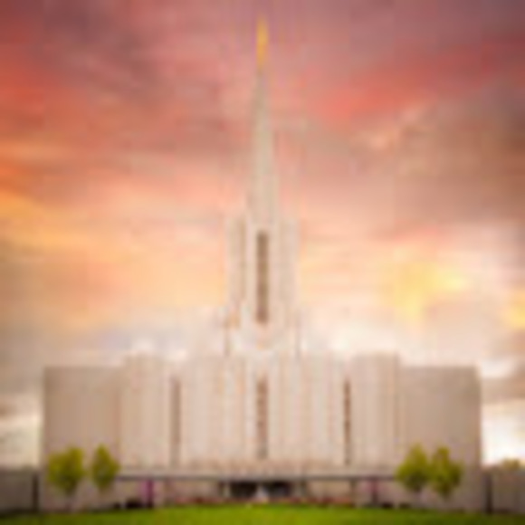 Profile Picture of Cheyenne Ingalls (@lunarladybug06) on Poshmark