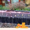 Profile Picture of tammymulcahey5 (@tammymulcahey5) on Tiktok