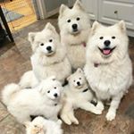 Profile Picture of Wilsonchambers (@wilson_chambers_) on Instagram