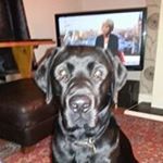 Profile Picture of Michael McQuiggin (@michaelmcquiggin) on Instagram