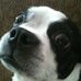Profile Picture of Jeff Eason (@jeff.eason.927) on Facebook