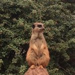 Profile Picture of Michael Heel (@the_real_heel1) on Instagram