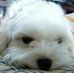 Profile Picture of Yoon Kwon (@yoon.kwon.716) on Facebook