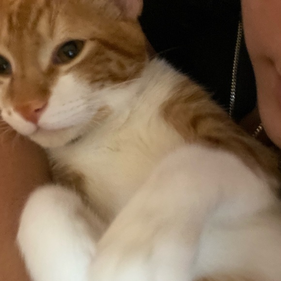 Profile Picture of Emmily Arciga (@emmilyarc17) on Poshmark