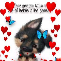 Profile Picture of Lupe Armijos326 (@lupearmijos326) on Tiktok
