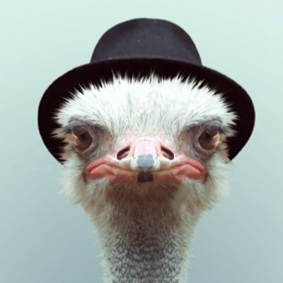 Profile Picture of Joshua Greenhalgh (@temperXgam1ng) on Twitter