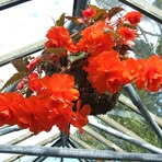 Profile Picture of Cisco Page (@cisco.page.7) on Facebook