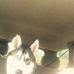 Profile Picture of Blake Hare (@Blake-Hare) on Facebook