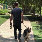 Profile Picture of Michael Stirnemann (@hippie.elf) on Instagram