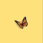 Profile Picture of Alyssa Tantillo (@alyssa_does_not_post) on Instagram
