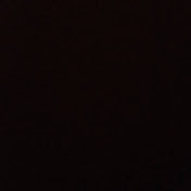 Profile Picture of Ariel Ward (@arielward6542) on Youtube