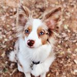 Profile Picture of Ava Reign Beasley (@ava_reign14) on Instagram