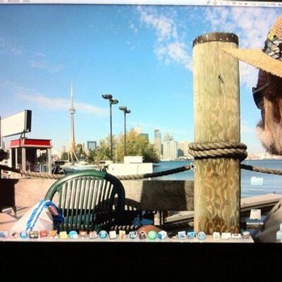 Profile Picture of Barry Clark Simpson (@balsambeach) on Twitter