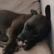 Profile Picture of Bailey Halpin (@baileyhalpin6132) on Youtube