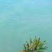 Profile Picture of Juliana Sites (@email4juliana2) on Pinterest