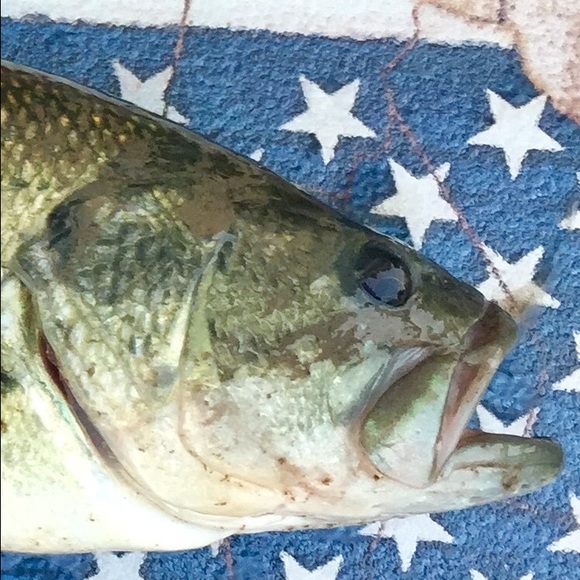 Profile Picture of Cole Campbell (@colecampbell10) on Poshmark