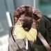 Profile Picture of DerFritzi EinDackel (@derfritzi.eindackel) on Facebook