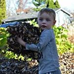 Profile Picture of Joe Celentano (@joe.celentano.940) on Instagram