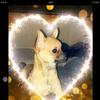 Profile Picture of rubyguide (@@rubyguide) on Tiktok