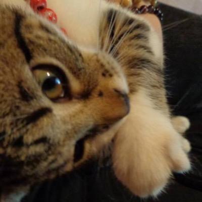 Profile Picture of Alexis Mikaela Clark (@MagikalArei) on Twitter