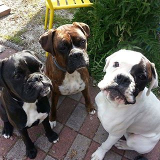 Profile Picture of Marie Thiebaut (@marie.thiebaut.90) on Facebook