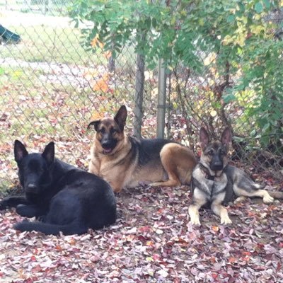 Profile Picture of Charles J. Hernandez (@CharlesJHernan2) on Twitter