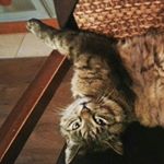 Profile Picture of Thomas Krenn (@thomaskrenn_) on Instagram