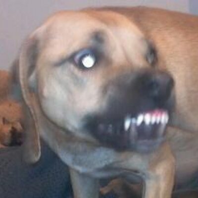 Profile Picture of Bill Parham (@bill_prhm) on Twitter