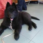 Maribi Arrizubieta - Instagram Profile Picture of Maribi Arrizubieta (@maribi1109) on Instagram