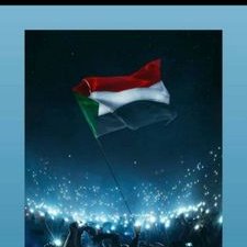 Profile Picture of Reem Haddad (@reemhaddad98) on Twitter