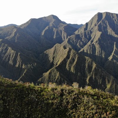 Profile Picture of Ariel Augusto Acevedo (@ArielAugustoAc1) on Twitter