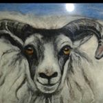 Profile Picture of Amanda Mcafee (@lazybobneedlefelt) on Instagram