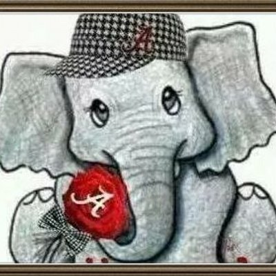 Profile Picture of Shelly Earnest (@My_Earnests) on Twitter