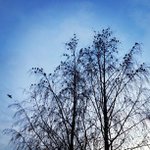 Profile Picture of Paddy Nelson (@paddy_nelsonix82) on Instagram