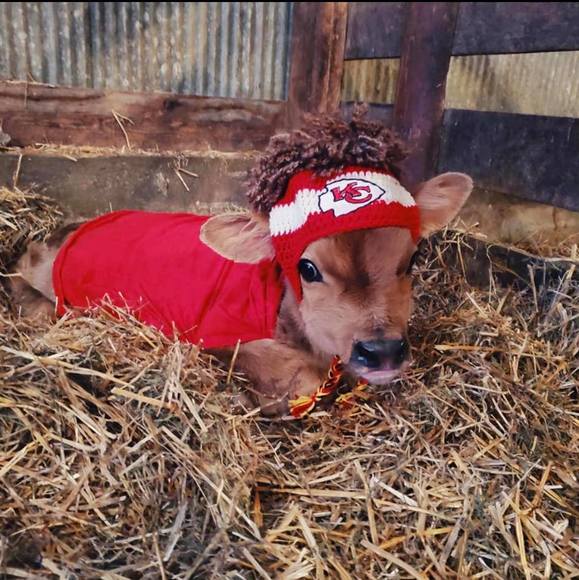 Profile Picture of Amanda Bunting (@salamanda1973) on Poshmark