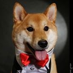 Profile Picture of Thor Shiba Inu (oficial)❤ 柴犬 (@thorshiba) on Instagram