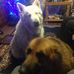 Profile Picture of Andrew Hulse (@andrew.hulse.1069) on Facebook